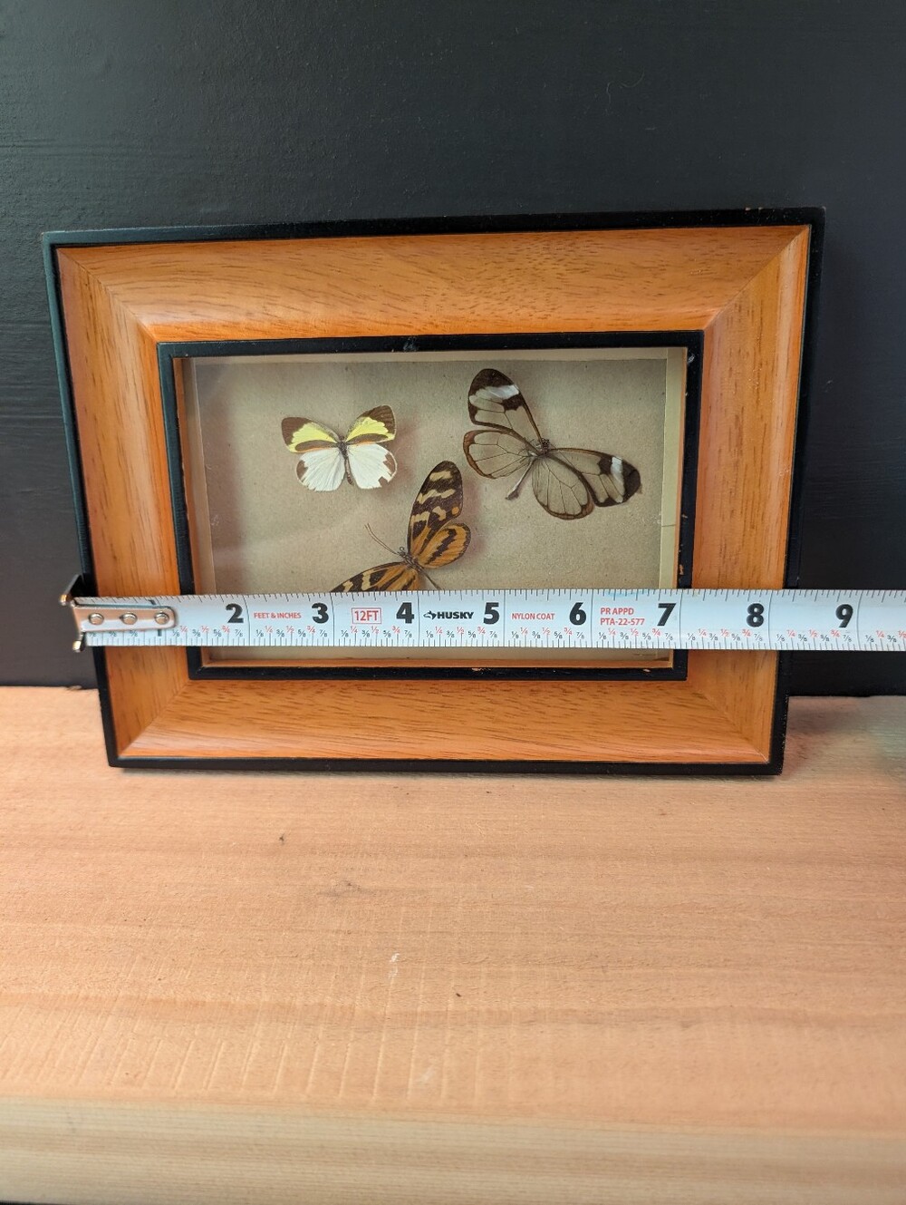 Retro Butterflies In Frame - Picture 4 of 6
